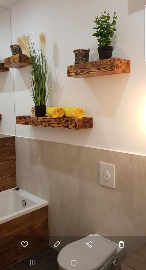 La Salcia Din Padure Apartment อัลบายูเลีย ภายนอก รูปภาพ